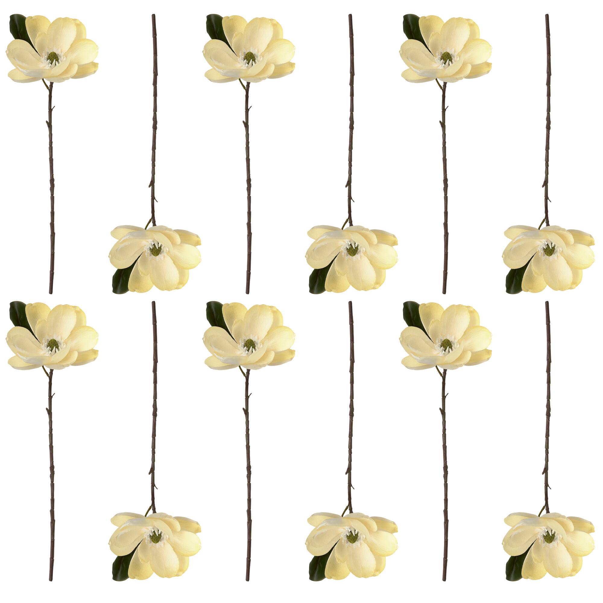 12 Pack: White Magnolia Stem by Ashland®